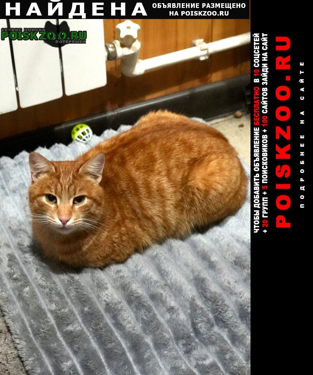 ���� ������ ��� ����� ���, ��������� (���������)