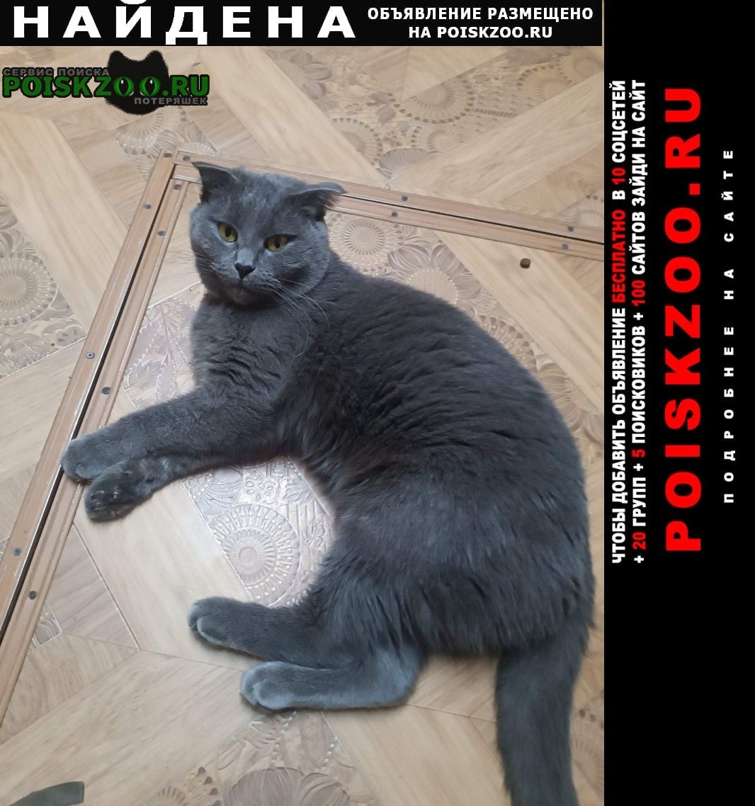 ���� ������� �����