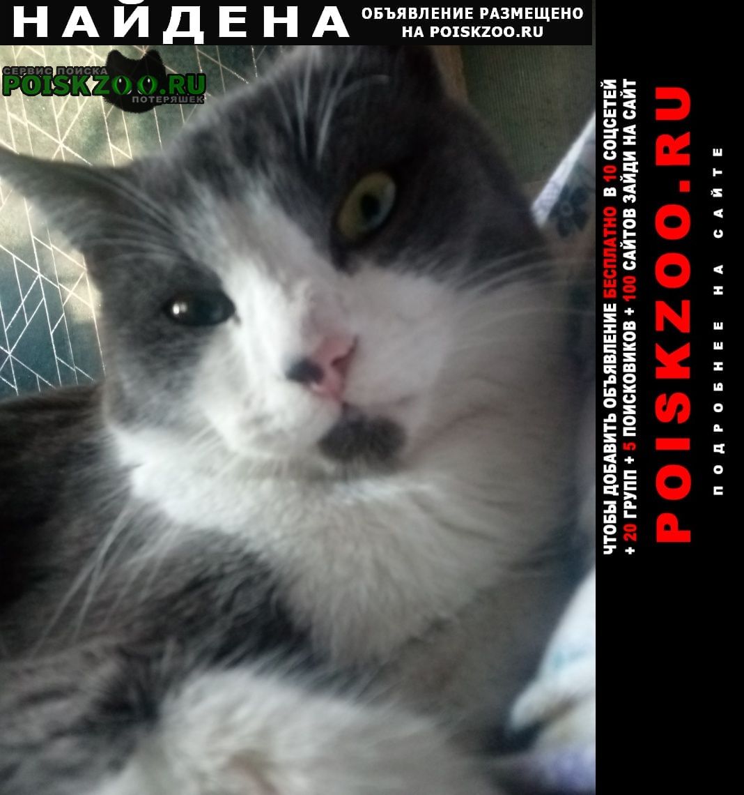 ���� ������ ��� ������� ���, �� ������ �����������