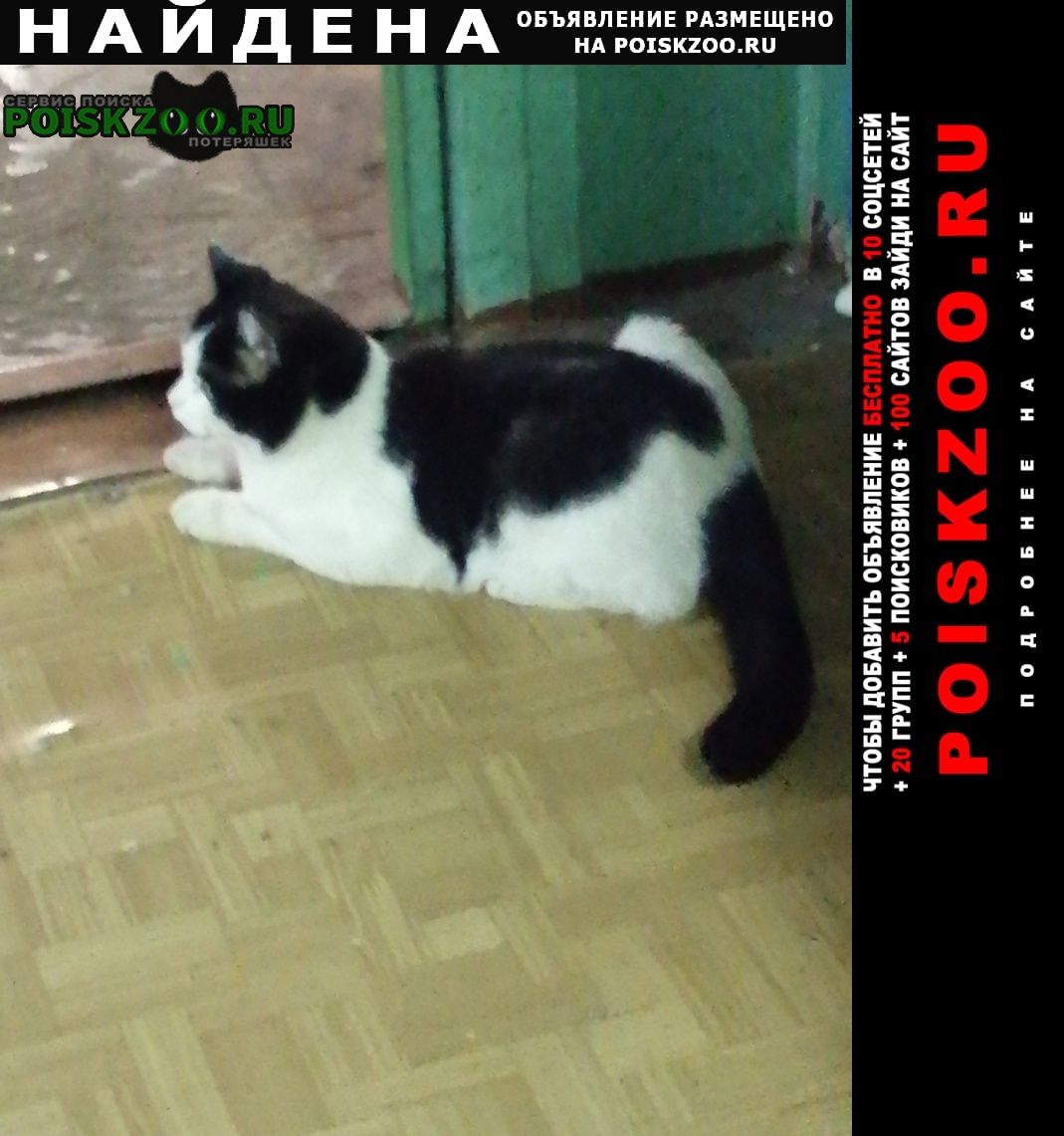 ���� ������� ����� ������ ���