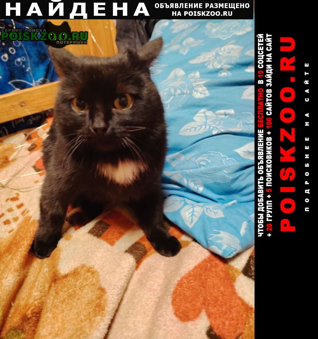 ���� ������� �����, ����� ���.