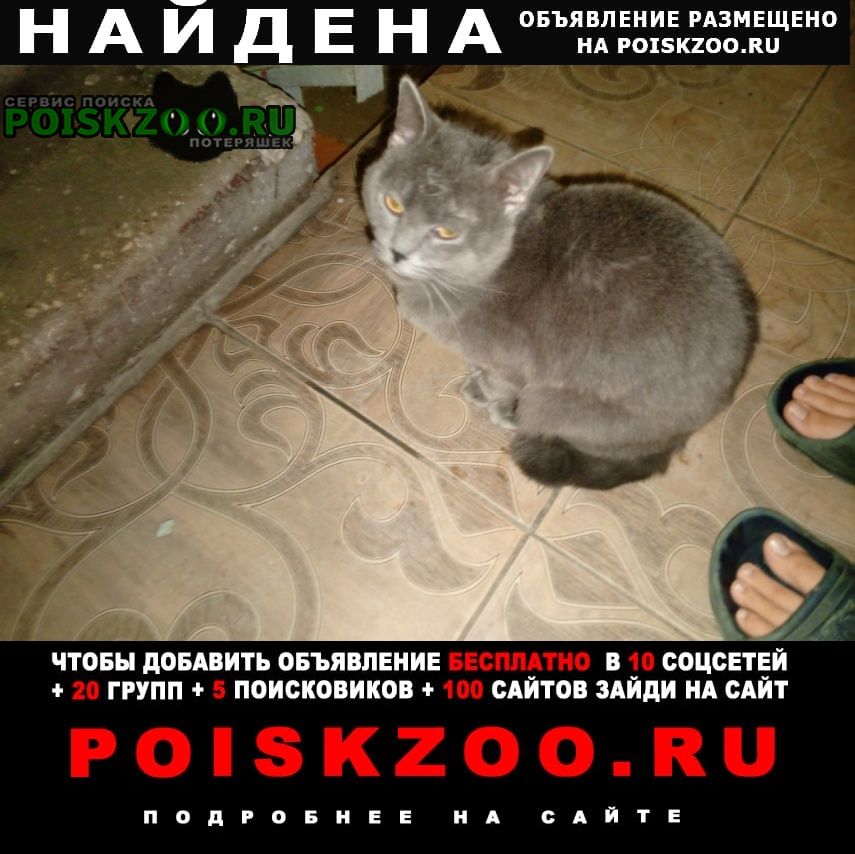 ���� ������� �����