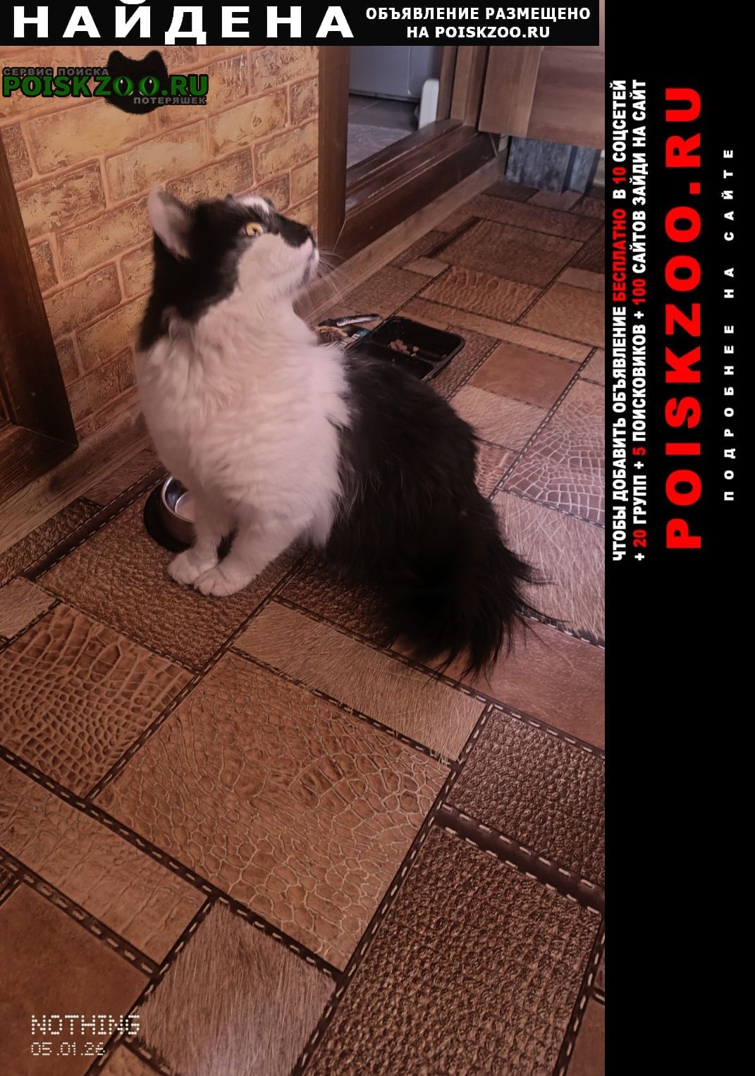 ���� ������ ���