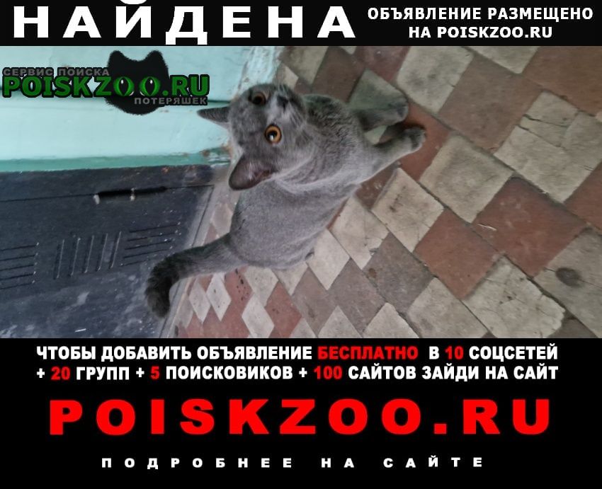 ���� ������� �����