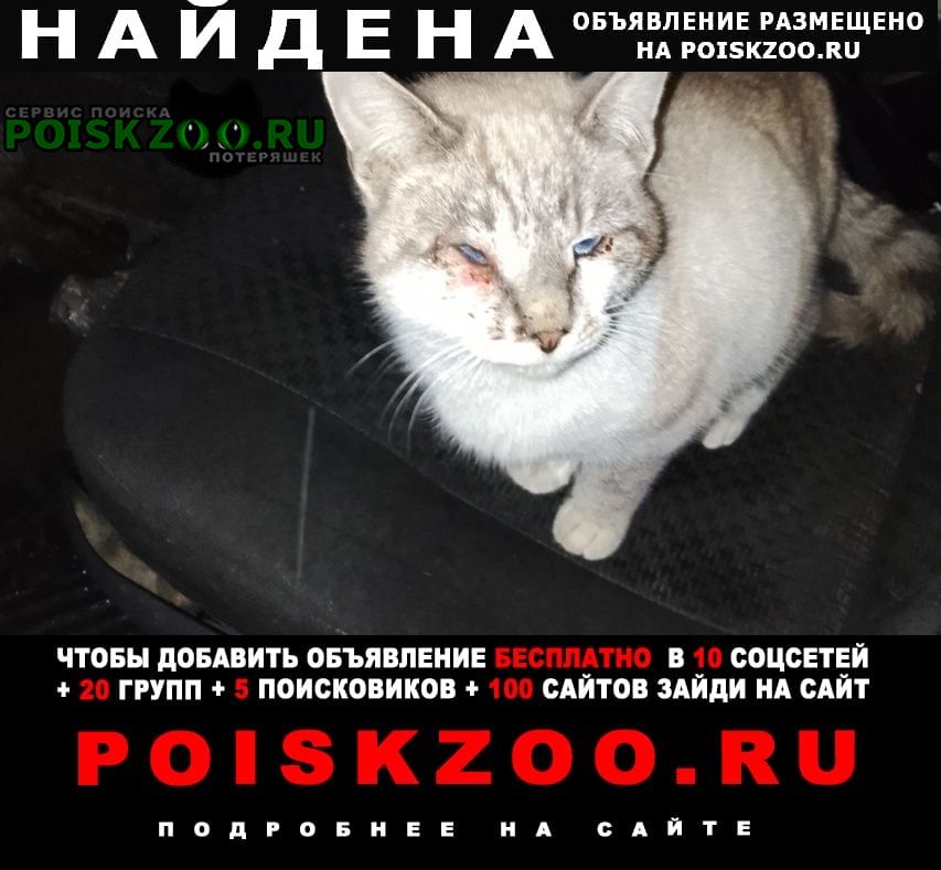 ���� ������ ���