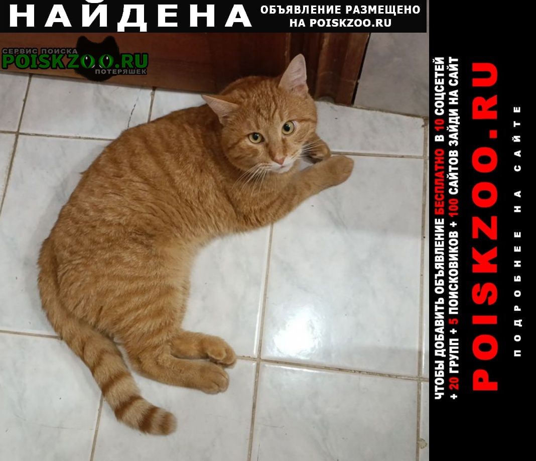 ���� ������ ���