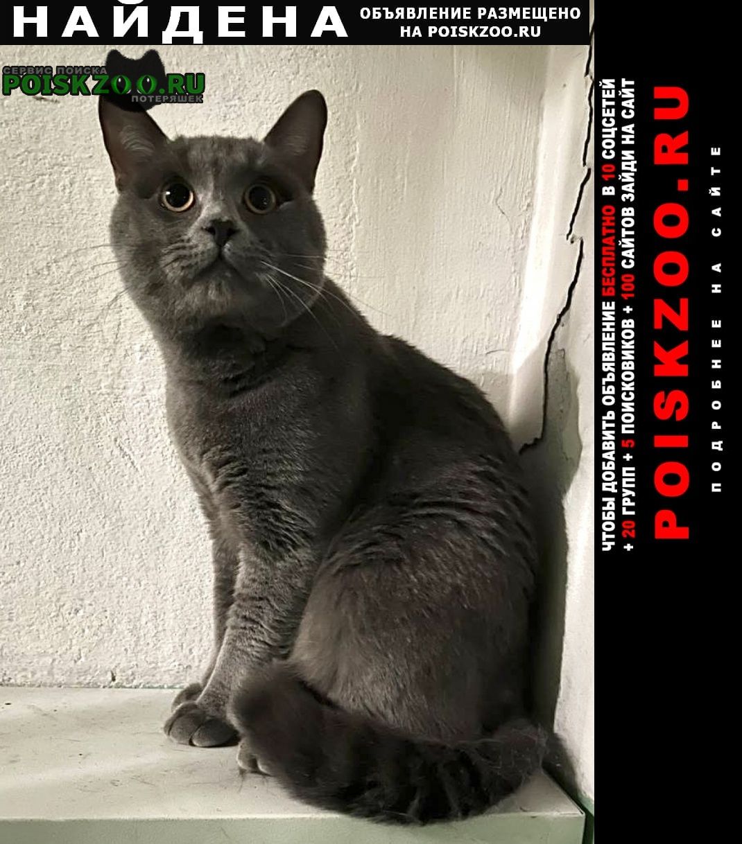 ���� ������ ���