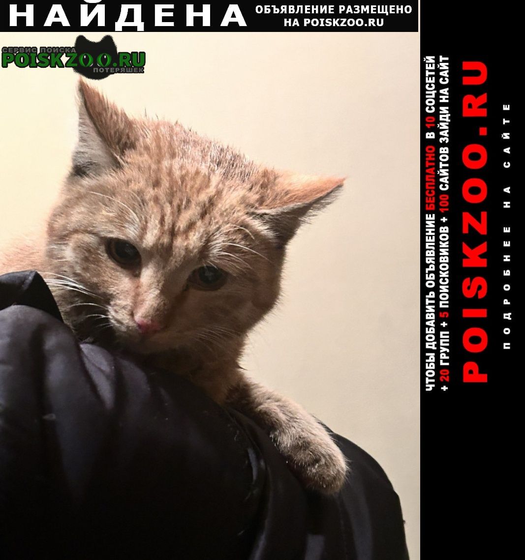 ���� ������� ����� ���� ������