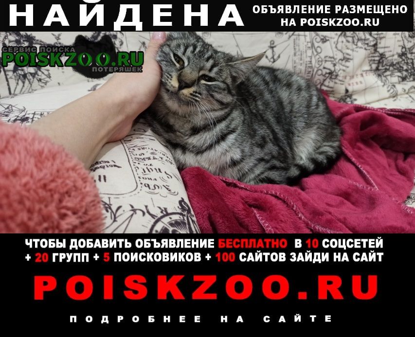 ���� ������� ����� �������� ���������� �����