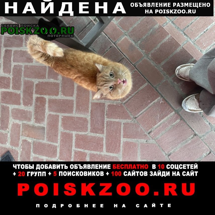 ���� ������ ���