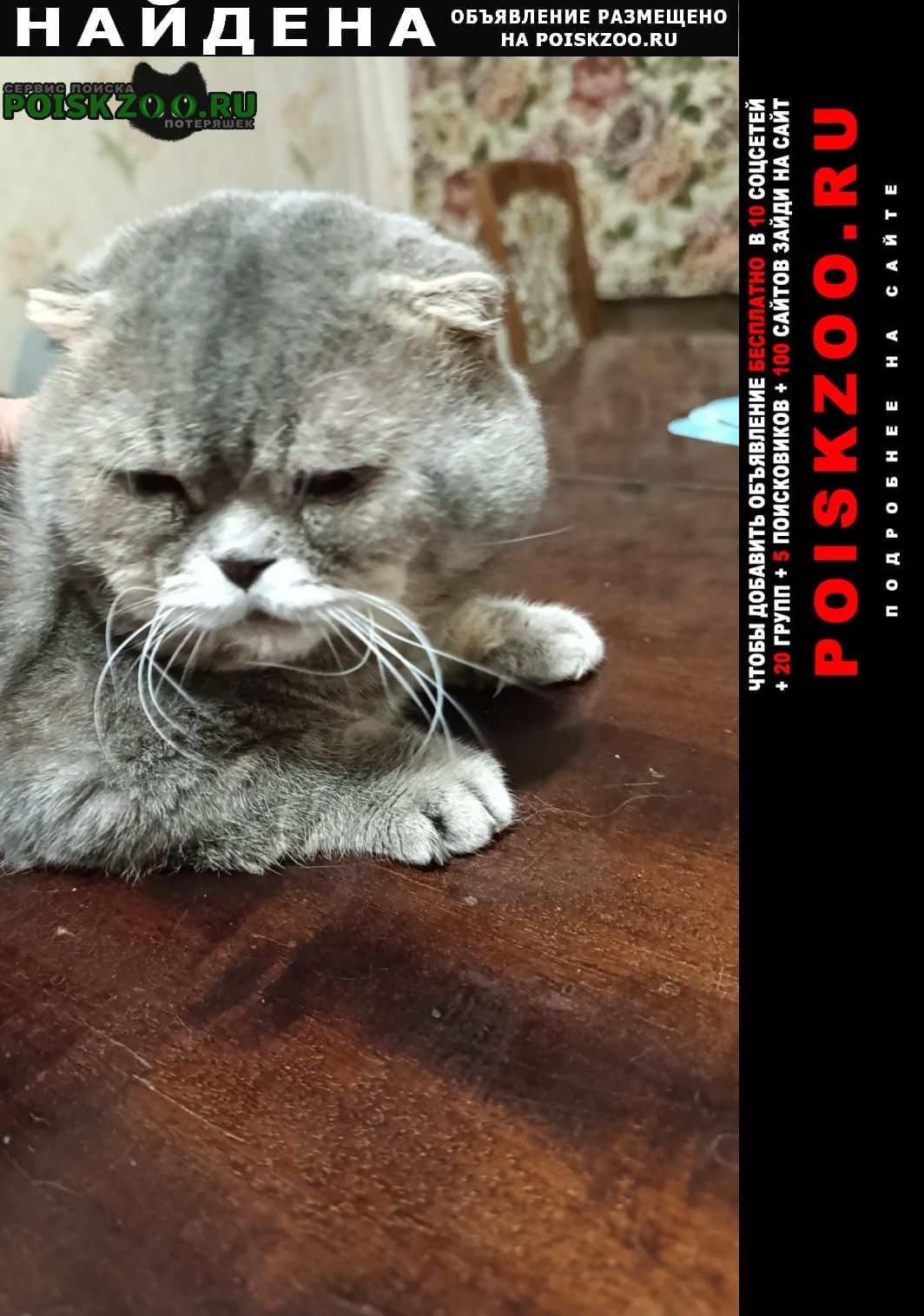 ���� ������ ��� � ������ ������ ������ 2025�.