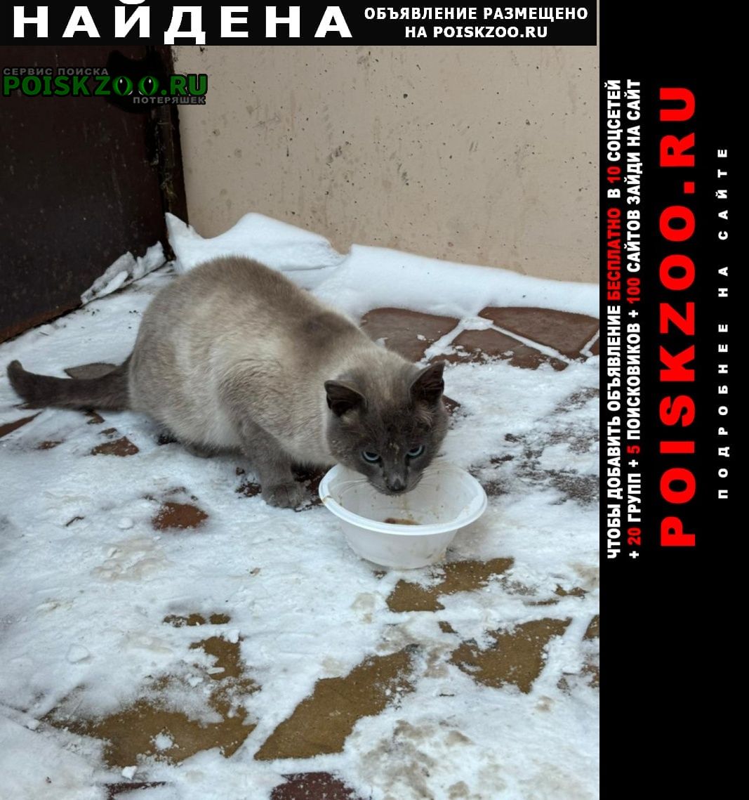 ���� ������ ��� ����������