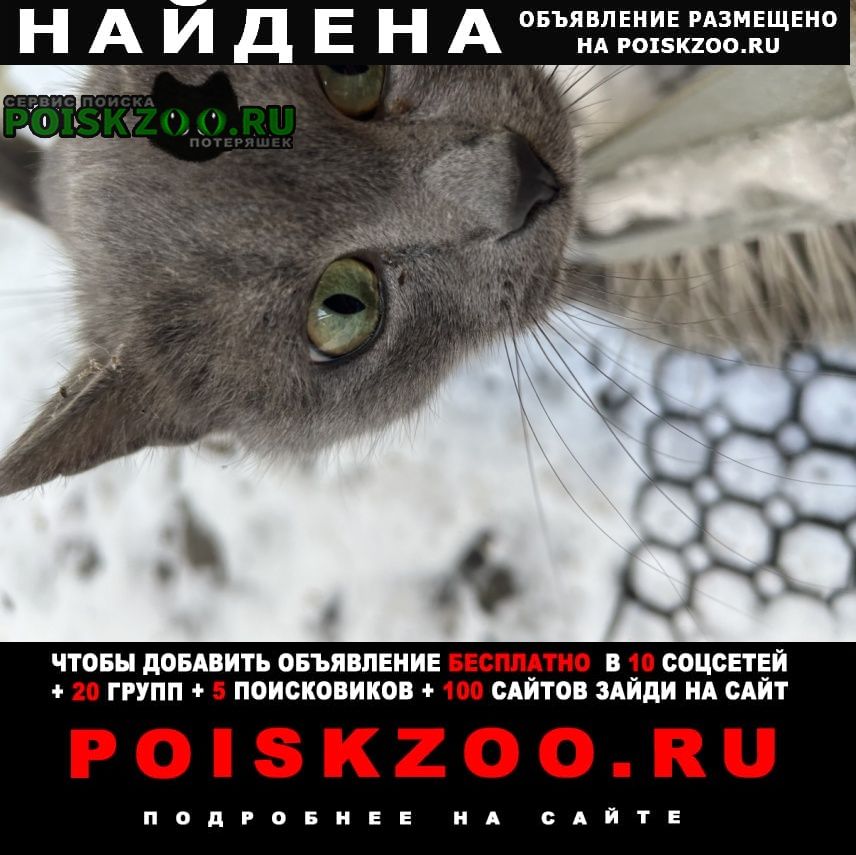 ���� ������� �����