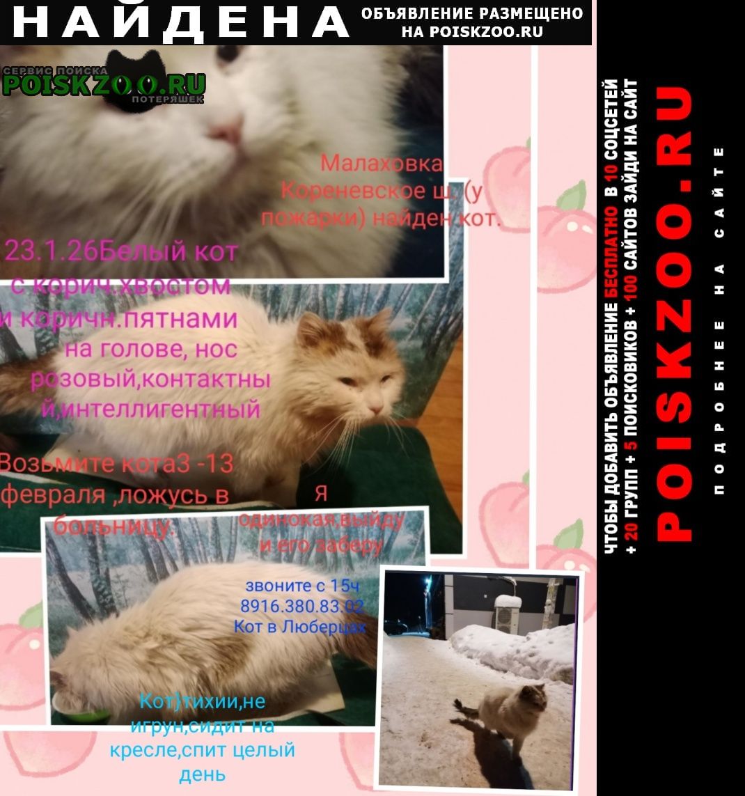 ���� ������ ��� ����� ��� �������� � ���������� ������ �