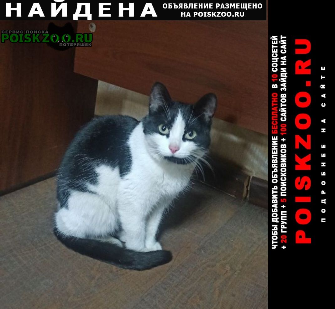 ���� ������� ����� �����-�����, ������ ����������