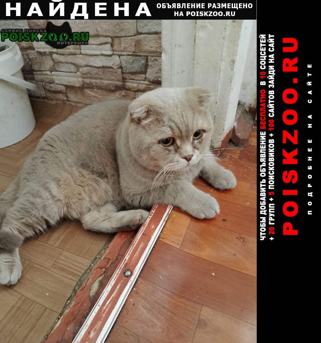 ���� ������ ���