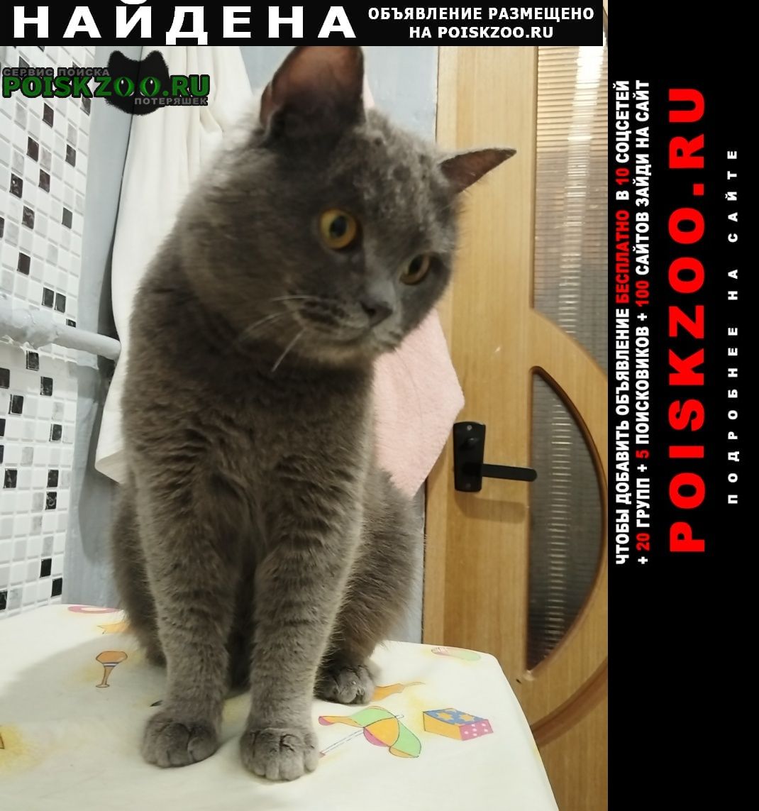 ���� ������� ����� ��������