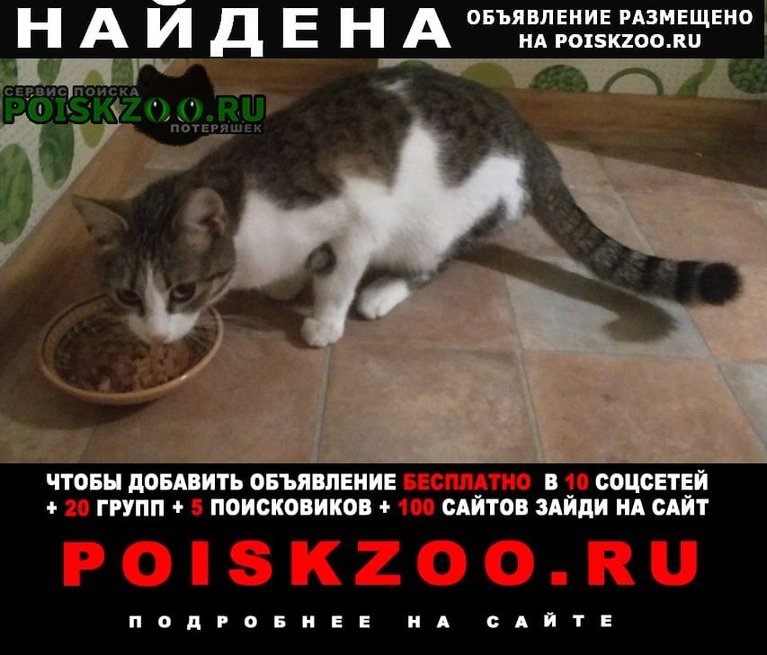 ���� ������� �����