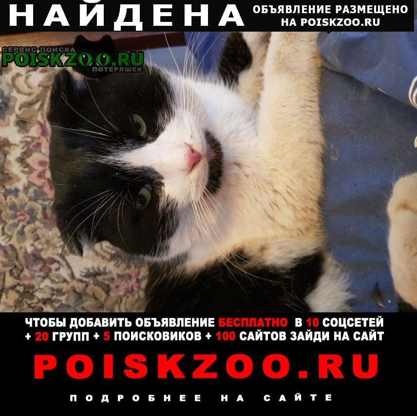 ���� ������ ���