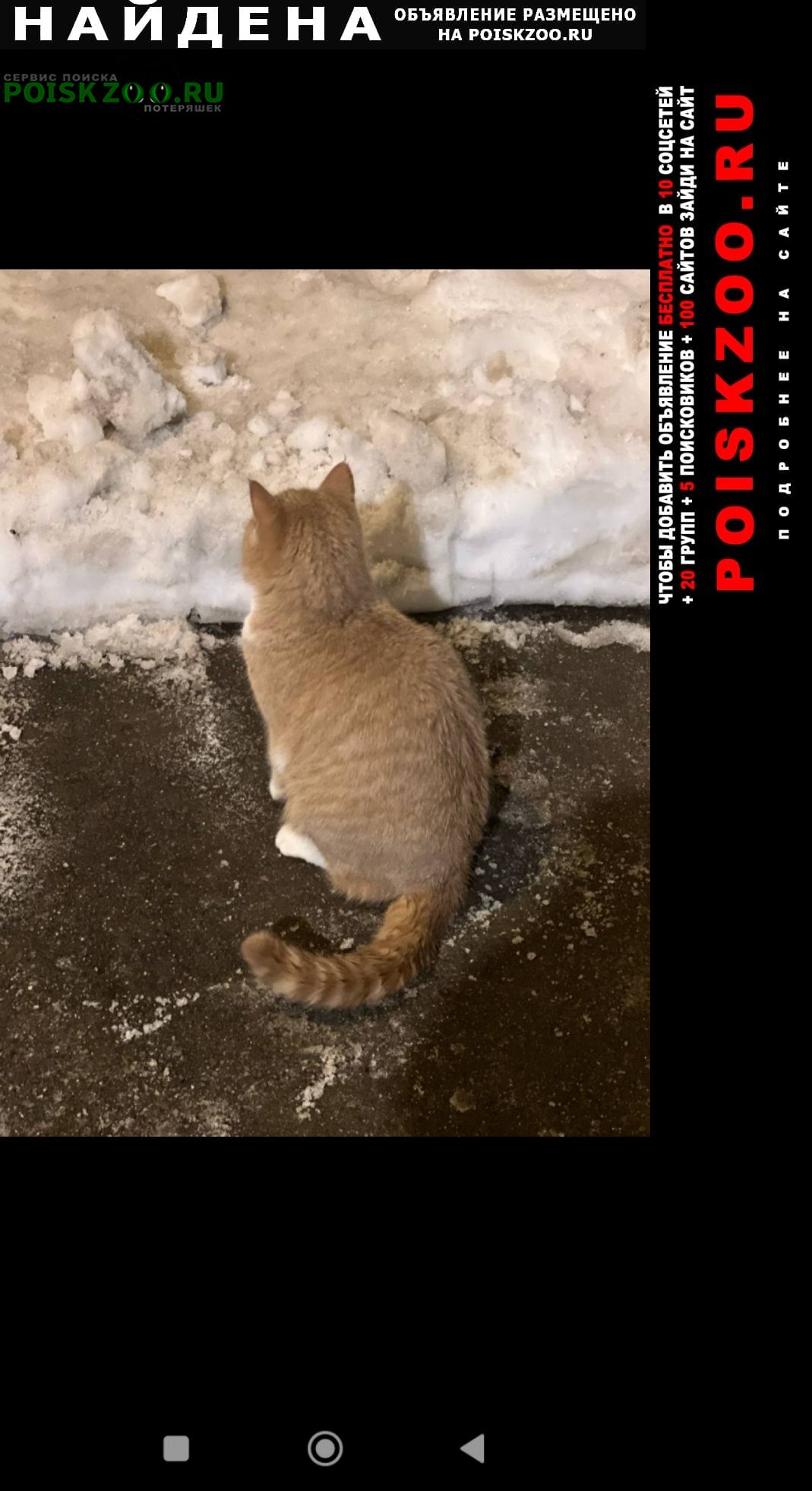 ���� ������ ��� ������� ������� �������