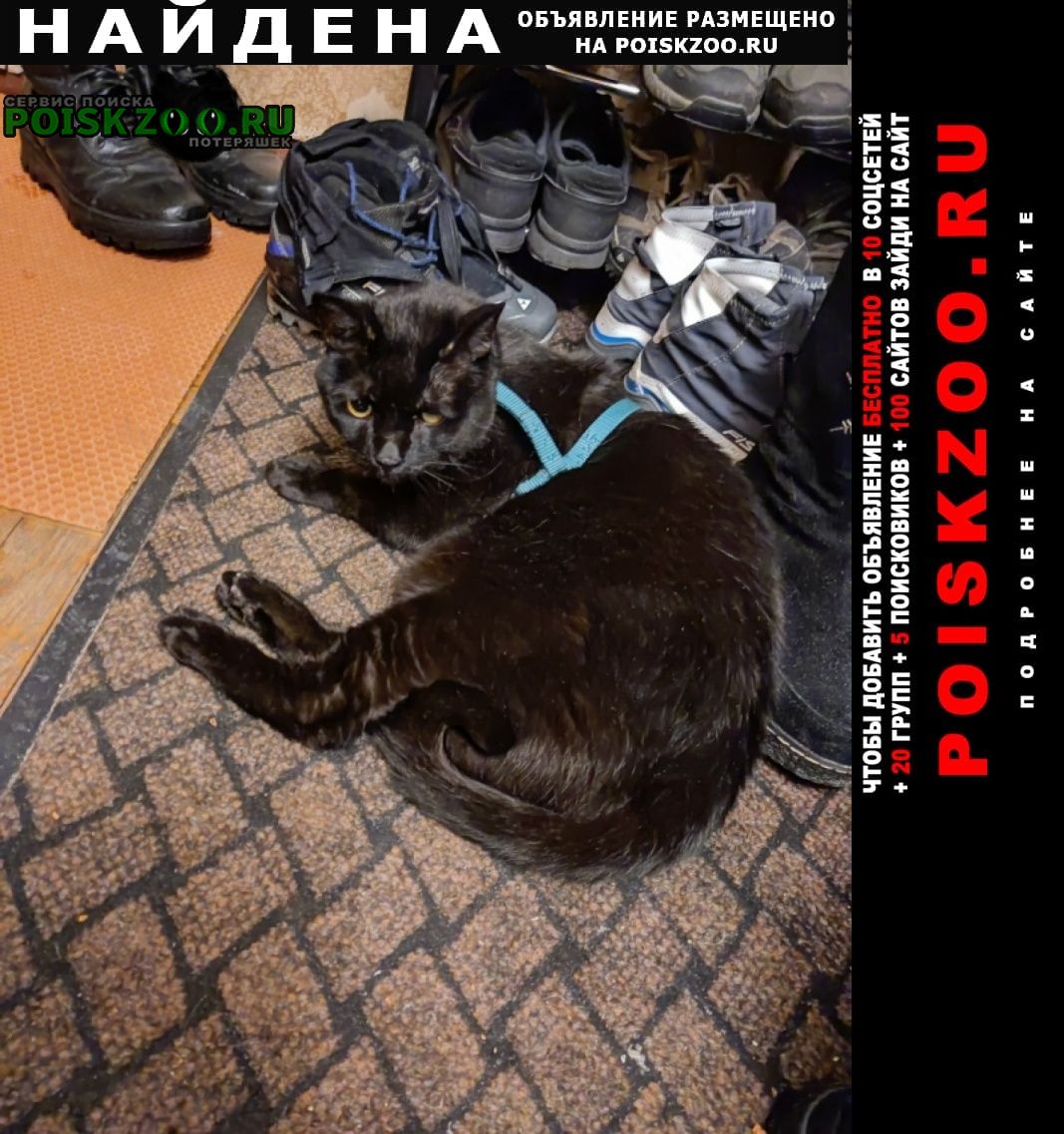 ���� ������ ��� ������� ������ ���