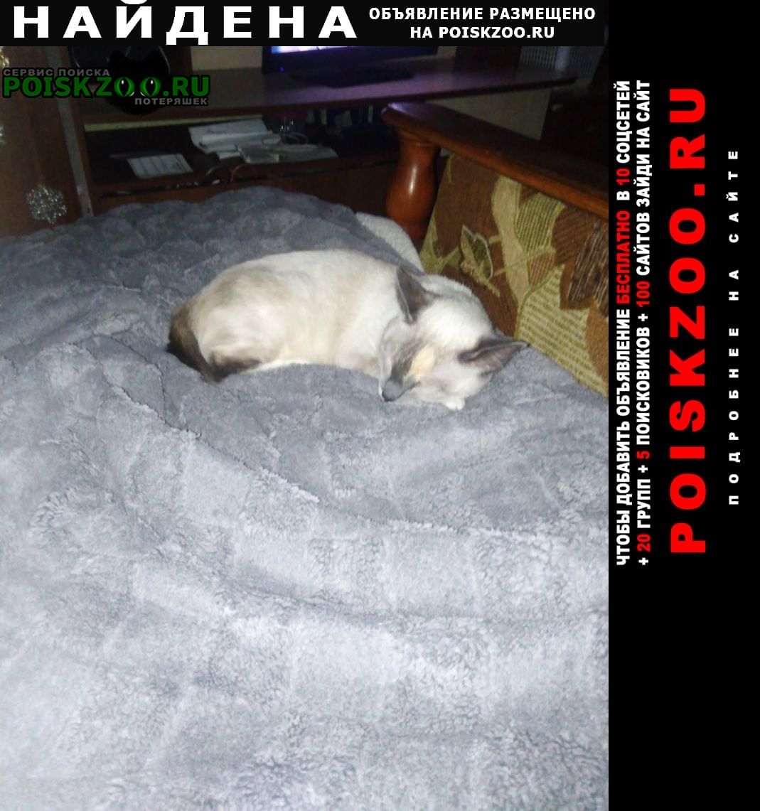 ���� ������� ����� ����� �����