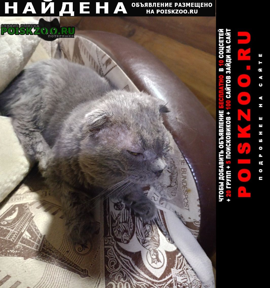 ���� ������ ��� ��������� ���������