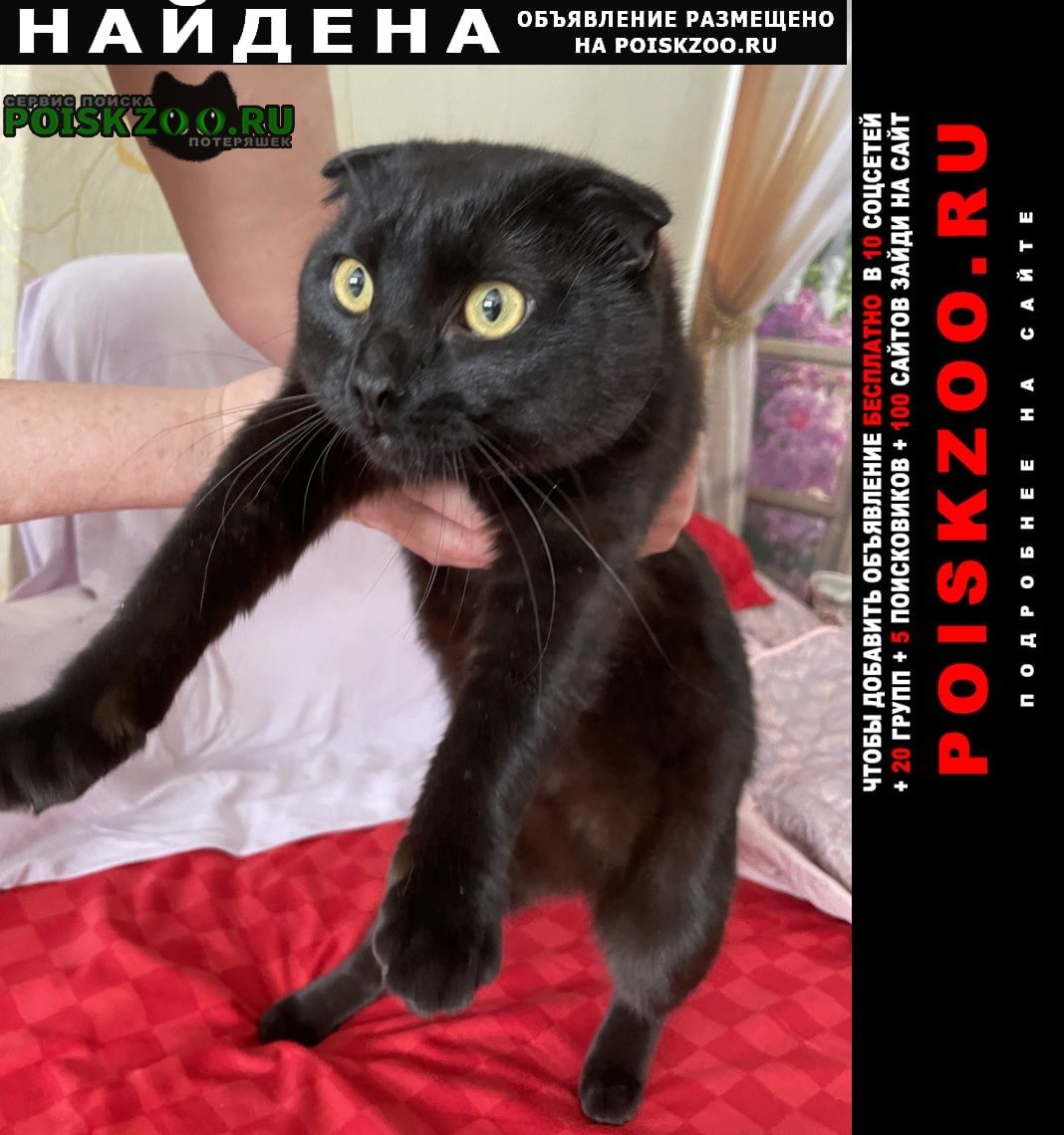 ���� ������ ��� ������� ���