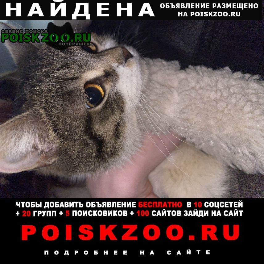 ���� ������� ����� ���������