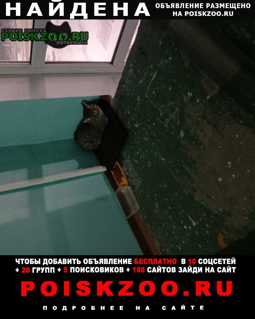 ���� ������ ���