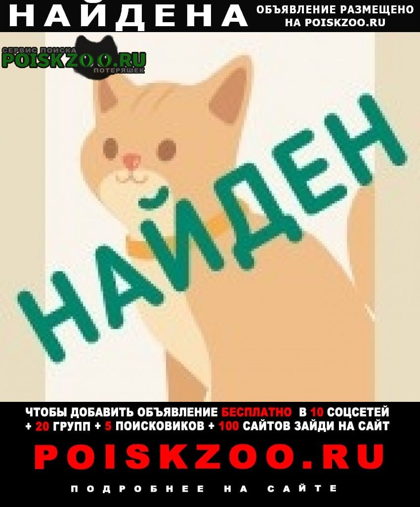 ���� ������� ����� ����������� ��������� ������������