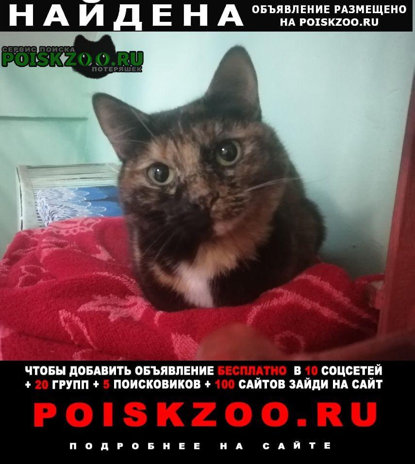 ���� ������� ����� �. ������������