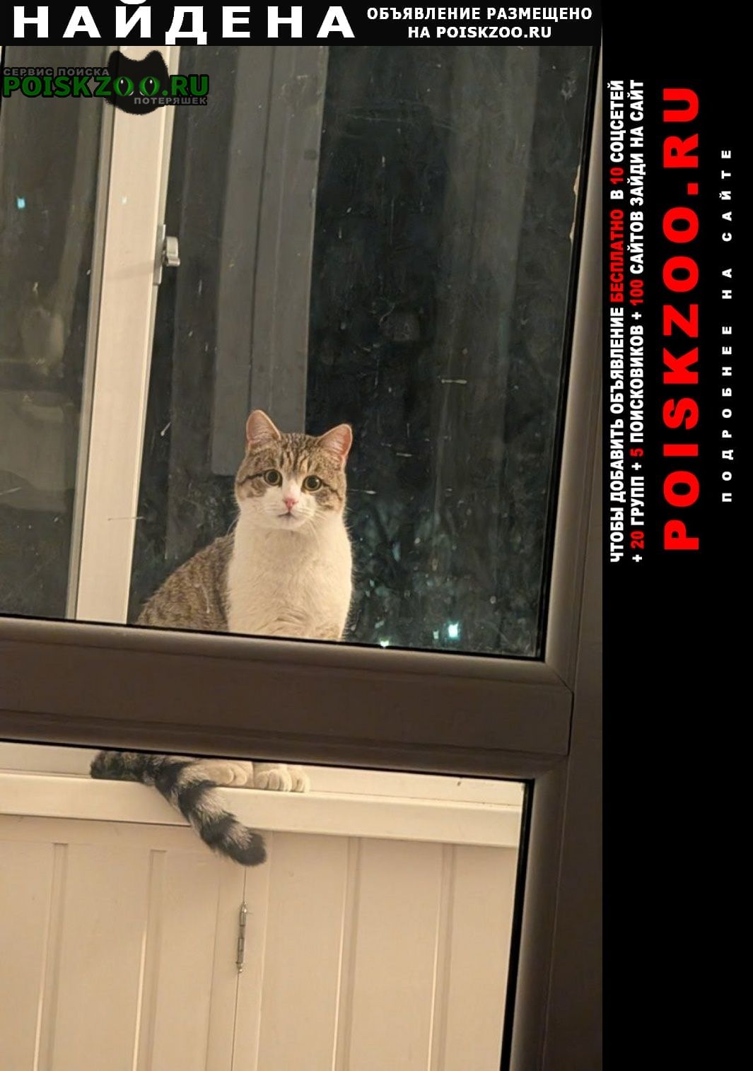 ���� �������� �����