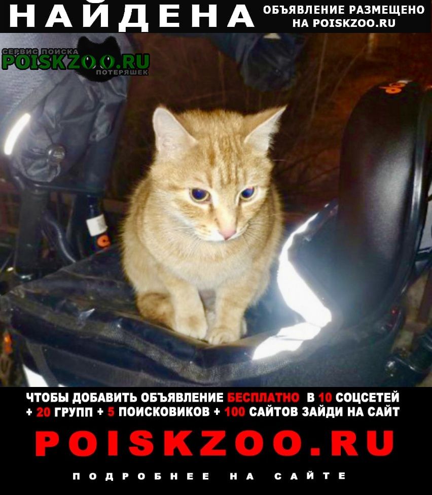 ���� ������ ��� ����� ���-���������