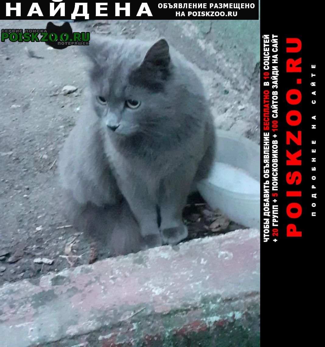 ���� ������� ����� � �/� �-�� �. ��������, ��. �. ������������