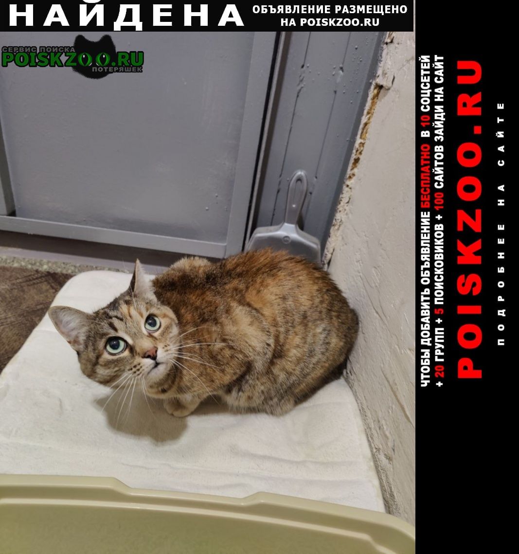 ���� ������� ����� ��. �������������