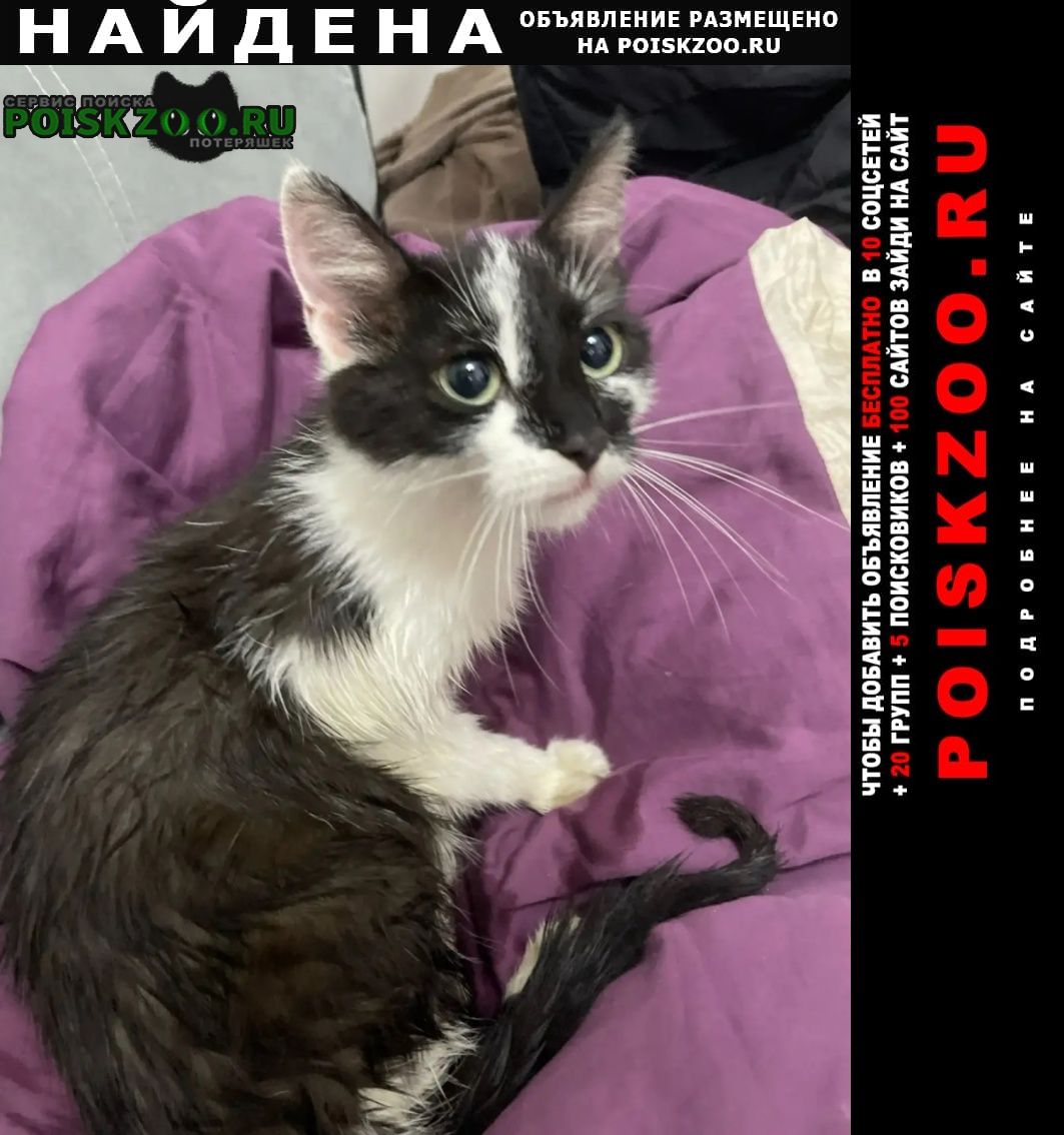 ���� �������� ����� ��������� 30