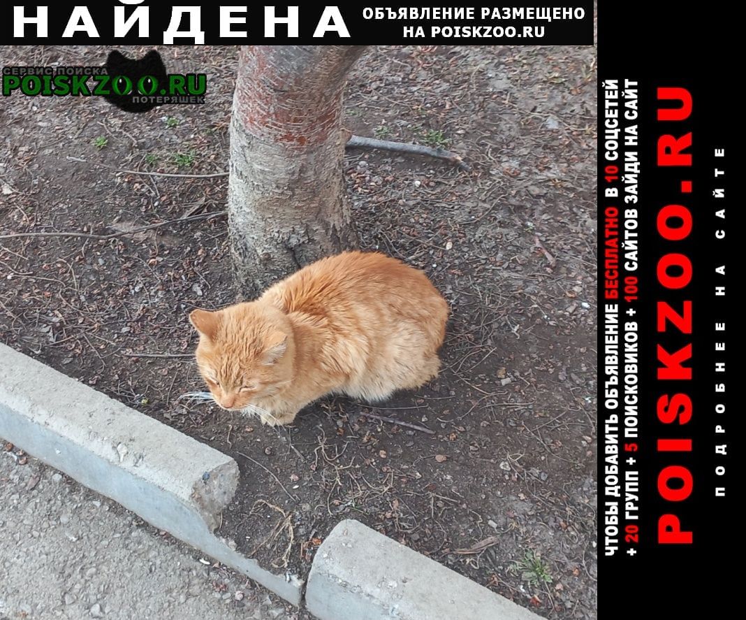 ���� �������� �����