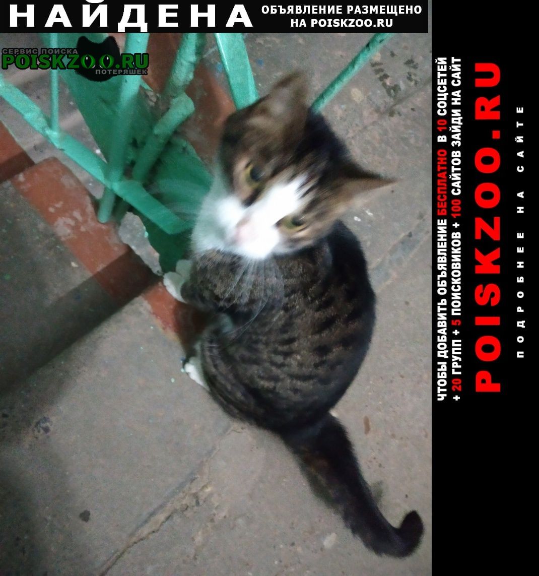 ���� ������� ����� ������ �����, �������� ��� ������