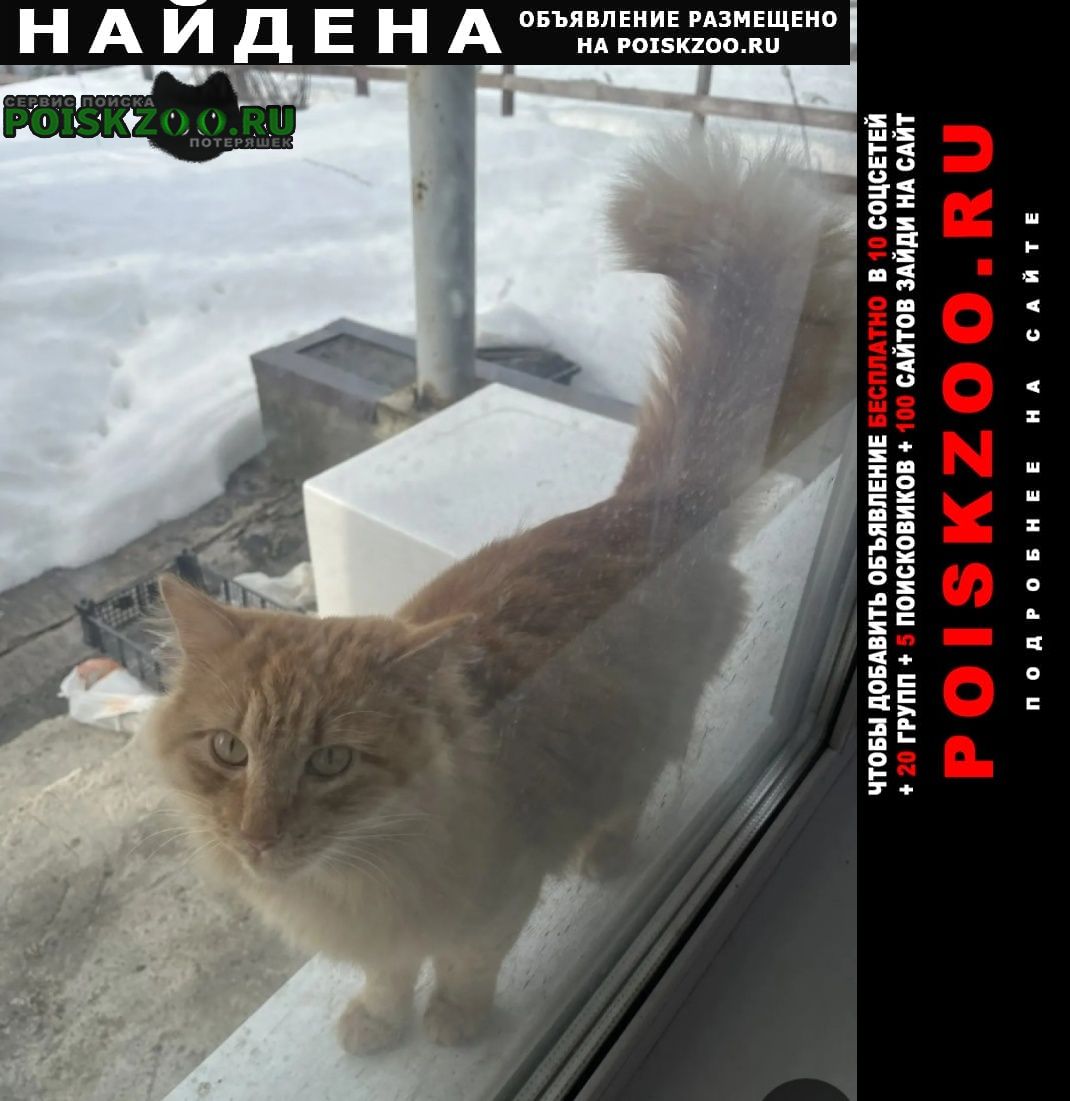 ���� ������ ���