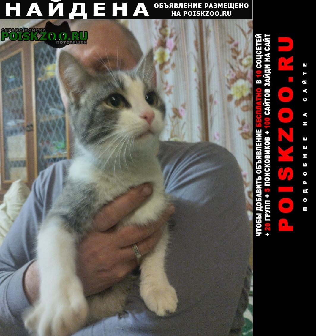 ���� ������� �����