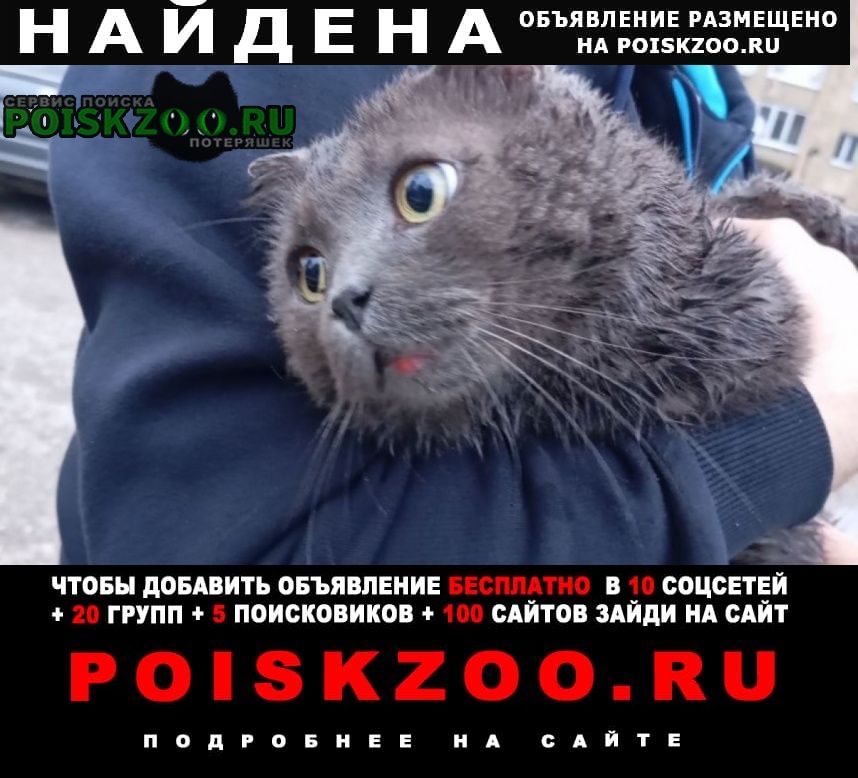 ���� ������� �����