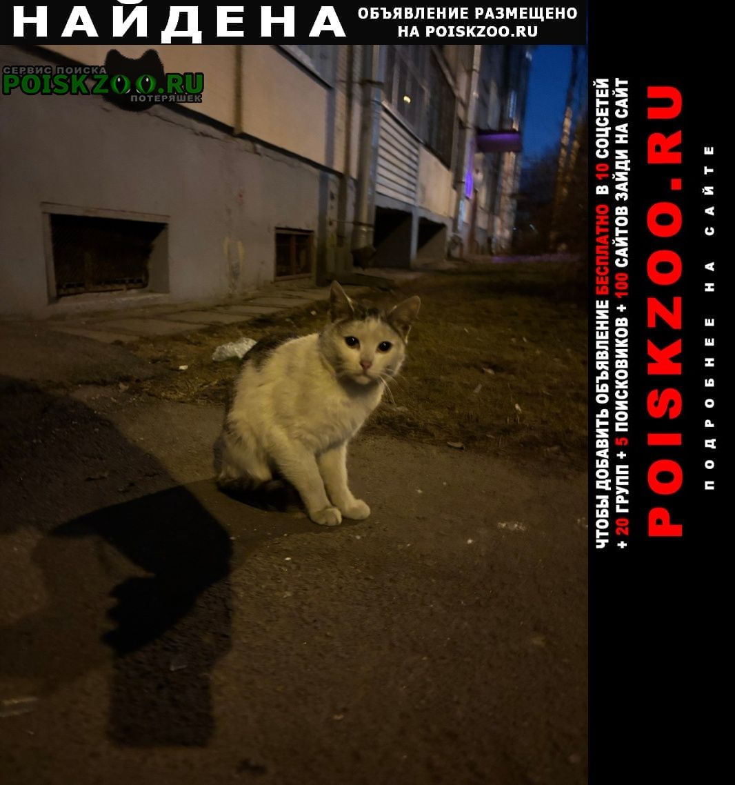 ���� ������� ����� �������� ��� ��������