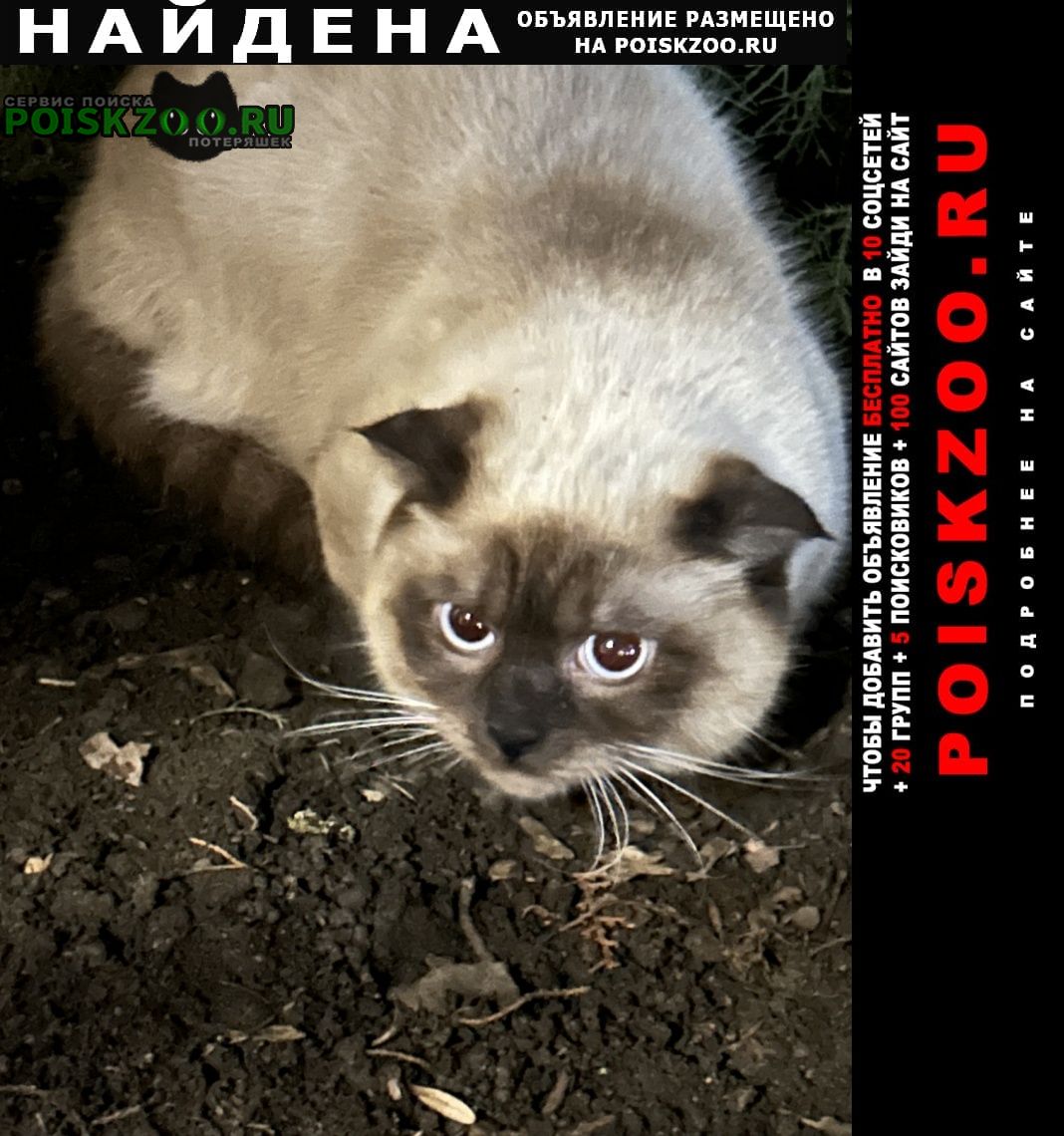 ���� ������ ���