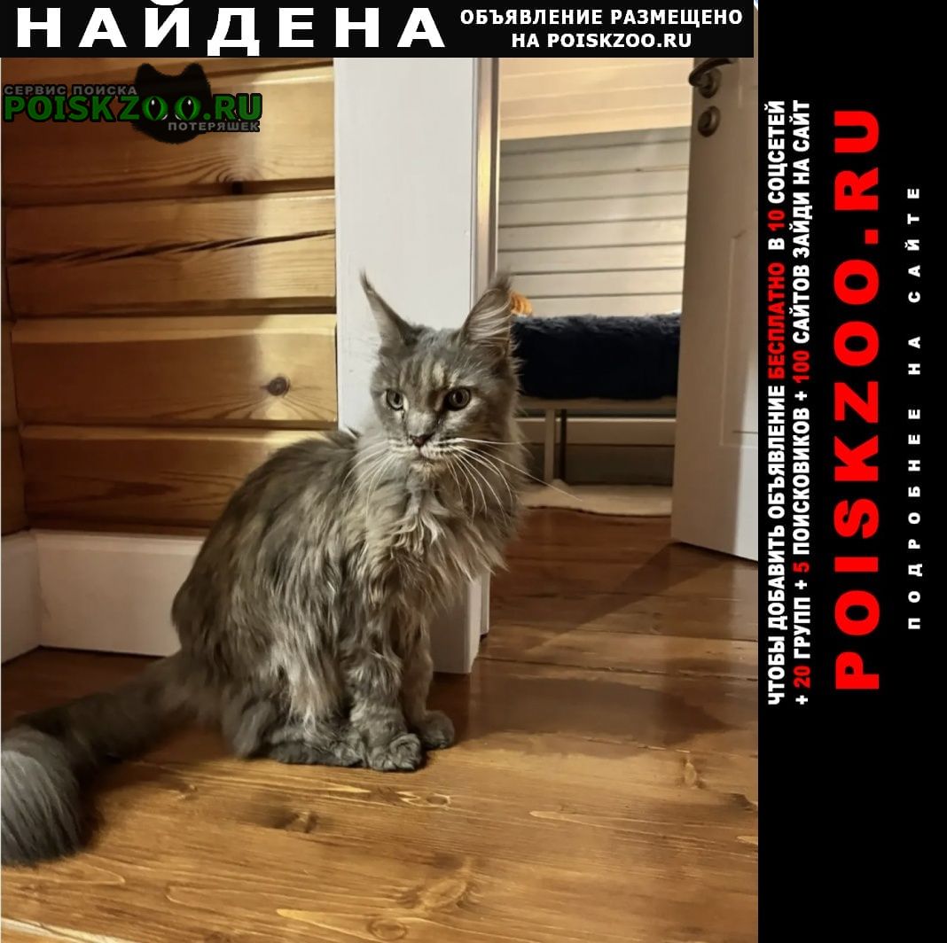 ���� ������� ����� � ��� ����������-1 �. ��������