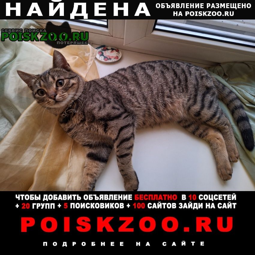 ���� �������� �����