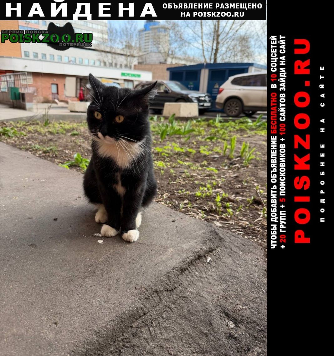 ���� �������� ����� �����-�����