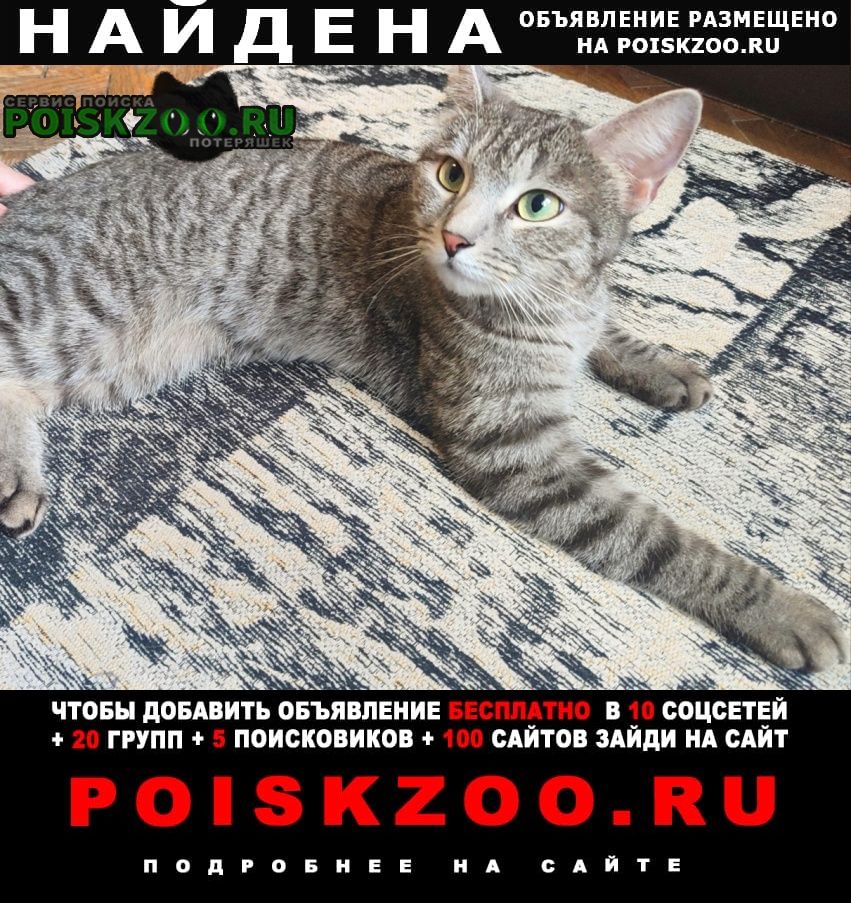 ���� ������ ���