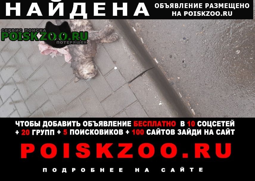 ���� ������� ����� ���