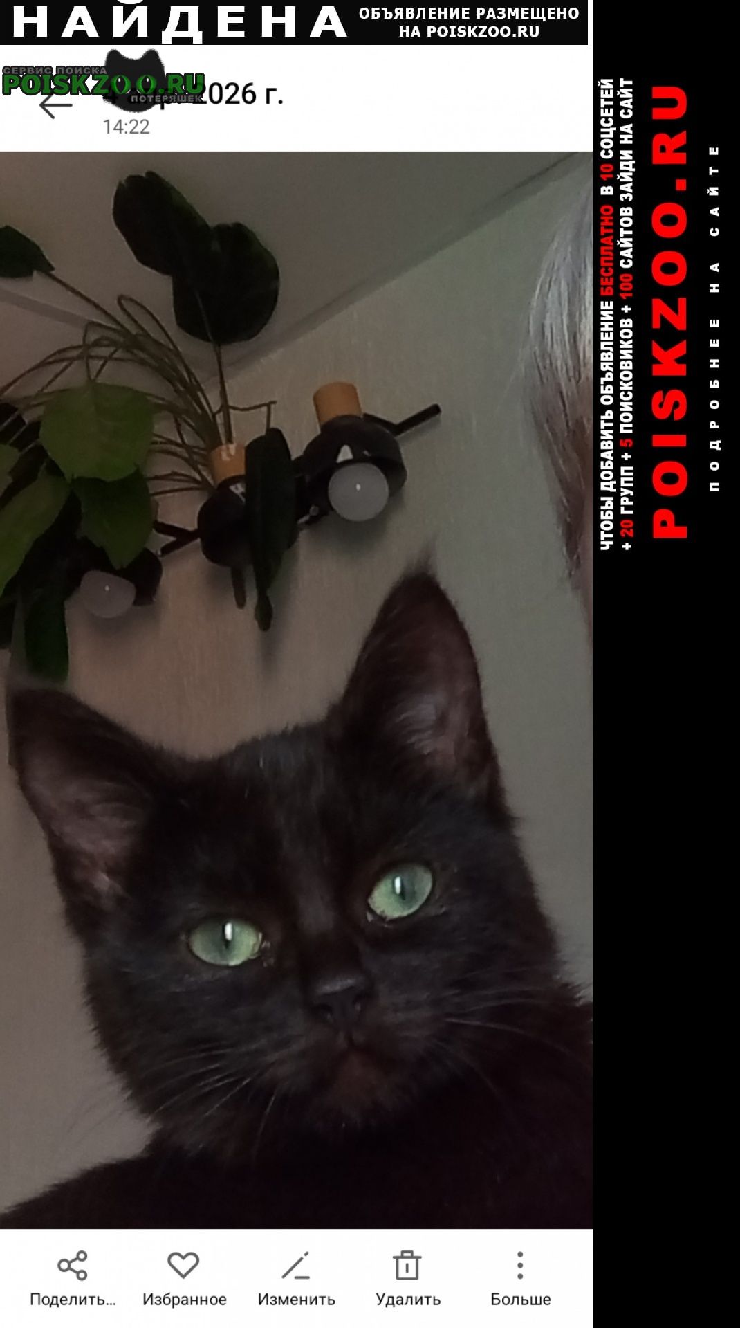 ���� �������� ����� ���������� ���������